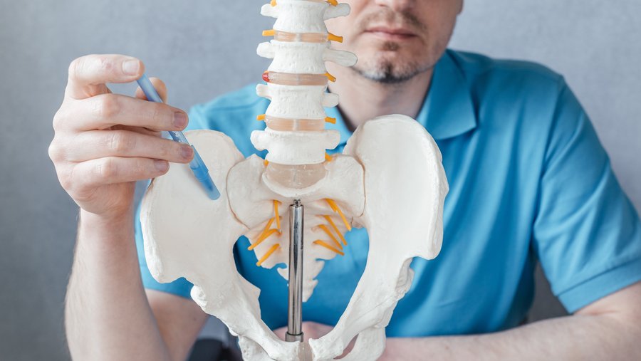 riwospine-sacroiliac-joint-model-denervation-therapy.png Doctor with spine and pelvis model – sacroiliac joint denervation and pain pathway explanation
